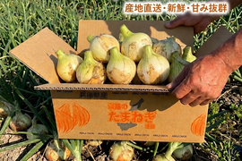 ちょっと訳あり品人気No.1品種！！『すごくあま〜い』あま〜くて水々しい淡路島産新玉ねぎ　5kg