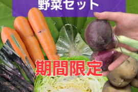 お盆特別野菜セット！有機JAS×自然栽培野菜