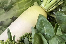 富士山麓の湧水育ち、おまかせ野菜セット