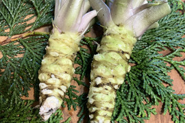 山わさびの通販｜わさび｜食べチョク｜産地直送(産直)お取り寄せ通販