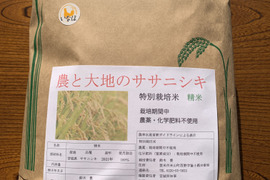 令和4年ササニシキ白米5kg～農薬・化学肥料不使用