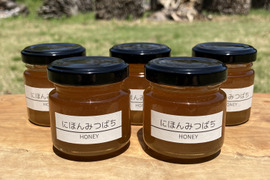 富士山麓の「にほんみつばち」HONEY 天然はちみつ　50g×5本セット　ニホンミツバチ