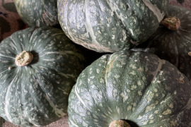 【人気商品】北海道産みやこカボチャ3玉入