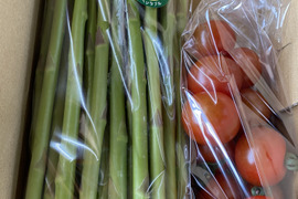 お試しセット！『優M〜L』さぬきのめざめ500g+ミニトマト300g