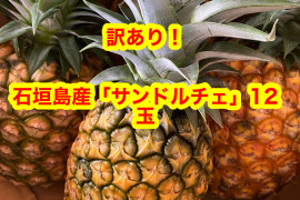 石垣島産「サンドルチェ」12玉入り