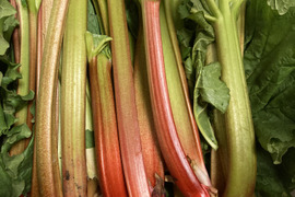 信州産 ルバーブ ミックスカラー 冷凍1キロ クール冷凍便発送