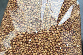 【令和7年度産】農薬・化学肥料・動物性堆肥不使用 たかきび 1kg