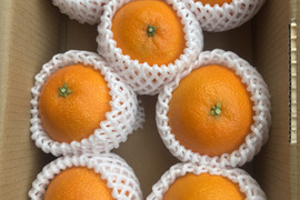 【化粧箱7個入　まどんな　 愛媛県産　ゼリーのような食感　愛果28号　除草剤使用無 万田酵素散布】