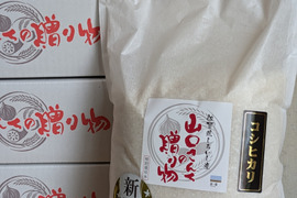 【令和7年新米】8月中旬発送！佐賀県内で最も早く収穫される七夕コシヒカリ（早場米コシヒカリ）白米10kg