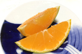 【 農薬不使用で育てました】早生みかん2kg