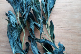 【北海道産】和のお茶3点セット！珍しい藍茶・希少な黒千石茶・ヨモギ茶