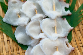 【北海道白老産】タコ串（3本）