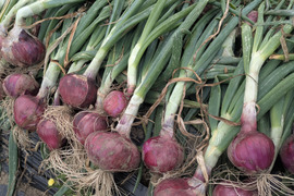 固定種のジューシー赤玉ねぎ（湘南レッド）2㎏【農薬・化学肥料不使用】
