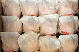 [5-6月発送]【お徳用】房州びわ 袋びわ 3.0kg