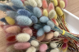 ‘‘ノウフク”カラフルラグラス100本束