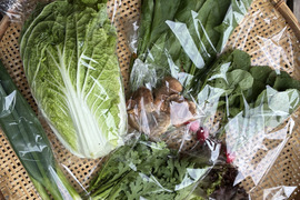 期間限定！しいたけ2袋＋白菜2玉、葉物野菜2袋入り　熨斗対応可