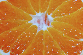 デコっと不知火【超訳あり】4kg（箱込）