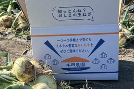 生で食べても甘く美味しい新玉ねぎ　5kg    2L サイズ