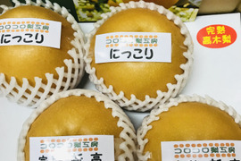 【旬の梨食べ比べ‼️2ケースまとめ買い】何が届くかお楽しみ😋贈答用2.2kg以上の商品を2ケースのお届け