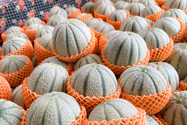 甘さぎっしり詰まった 家族で楽しむマルセイユメロン｜めろん2玉