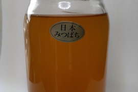 日本蜜蜂、ミツバチの生はちみつ　
５００g