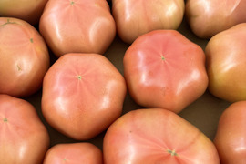 【訳アリ特価✨】ふぞろい大玉トマト　4㎏箱