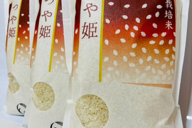 山形が誇るブランド米！山形県産特別栽培米つや姫（白米）６ｋｇ（２ｋｇ×３袋）