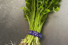 せりの通販｜その他茎野菜｜食べチョク｜産地直送(産直)お取り寄せ通販