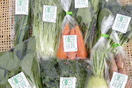 【初回限定BOX】採れたて旬の有機野菜の詰め合わせ（お試し6種）