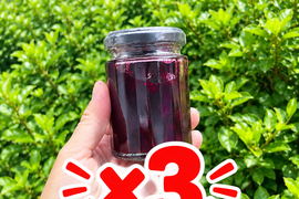 訳あり 3個セット果肉ごろごろ ブルーベリーフルーツソース 120g｜栽培期間中農薬不使用栽培