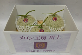 【夏ギフト】高級メロン 千葉県富津市産アールスメロン 1.2～1.5kg/個 ×3個入り