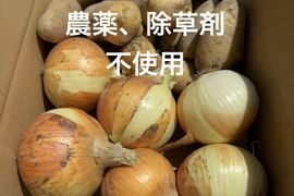 【淡路島の常備野菜セット】農薬・除草剤不使用の玉ねぎ＆じゃがいも｜カレー・肉じゃがにおすすめ