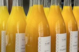 丸ごと生しぼり！〖農薬不使用〗飲み比べ柑橘ジュース　八朔/甘夏各２本計４本入り無添加100％《愛媛県大三島産》