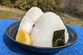 【令和７年新米】コシヒカリ28kg　農薬・化学肥料不使用米【三重県産玄米】
自信作コシヒカリ（冷めても美味しい！！）