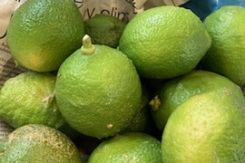 【大特価！】知多半島産青レモン1㎏(化学肥料不使用)