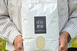 【9周年感謝祭】【令和8年産】自然栽培コシヒカリ・白米（5kg）【栽培期間中・化学肥料・農薬・除草剤不使用】【富山県】【魚津産】