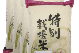 令和8年産【白米15kg】特別栽培米ミルキークイーン：長野県産のお米