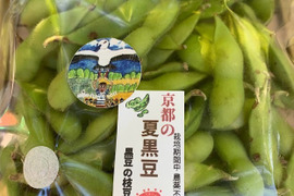 枝豆ページ❷ 8月4日発送 京都 夏黒豆えだ豆 自然栽培枝豆 農薬・化学肥料