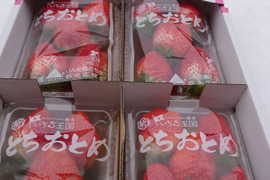 とちおとめグランデ（形ランダム）ビッグサイズ品