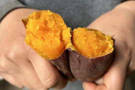 熊本県産オーガニックさつまいも！ハロウィンスイート🎃【オレンジ色の果実に上品な甘さ】（3kg）抗酸化作用のβカロテンが豊富！