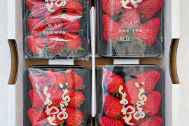 濃厚！紅ほっぺ★4パック入り（約1ｋｇ）