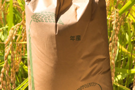 【7年度産 玄米30キロ】★季節の野菜プレゼント付★ふっくら・もちもち✴︎冷めても美味しい〜　千葉県産コシヒカリ【深田のお米】〜ホッとするお米あなたの食卓に〜