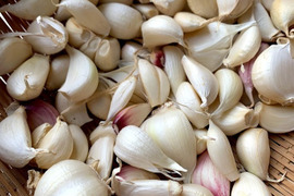 【レシピ付】京丹後産　栽培期間中農薬不使用栽培　乾燥新にんにくバラ　400g