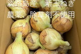 農薬、除草剤不使用！淡路島 新玉ねぎ5kg サラダにも加熱調理にも美味しい。