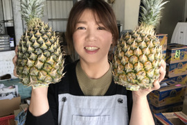 沖縄県石垣島産規格外スナックパイン3個