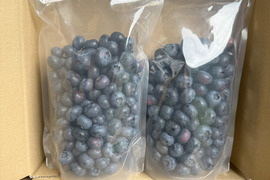 農薬不使用 冷凍ブルーベリー１キロ 信州長野県産 毎日の食卓に♪