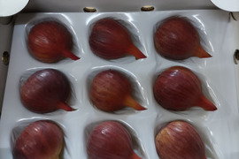 🌸【ハウスいちじく】【期間数量限定】朝採れ直送【極】
