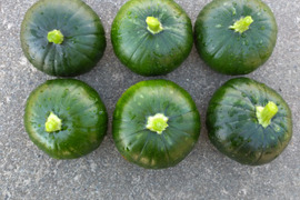 超希少‼️新京野菜　京の風鈴かぼちゃ６個【漢方栽培】