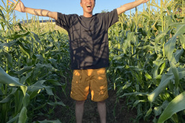 若手農家が作る！愛情たっぷり！
トウモロコシ🌽（特大10本入り）朝採れ直送🚛