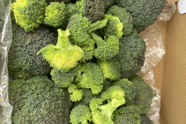 渥美半島産　カットブロッコリー